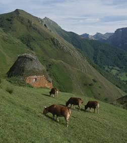 Paisaje somedano