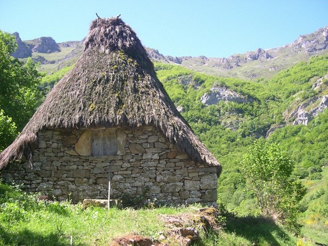 Braña La Campa Saliencia