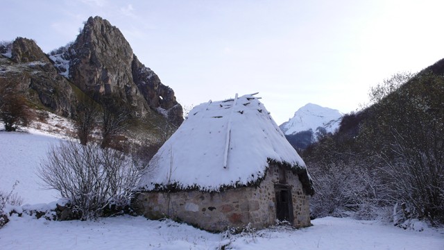 teito nevado